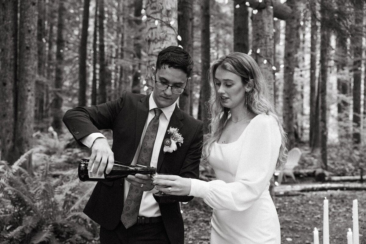 MtRainierSmallWedding-DallinHazard-402