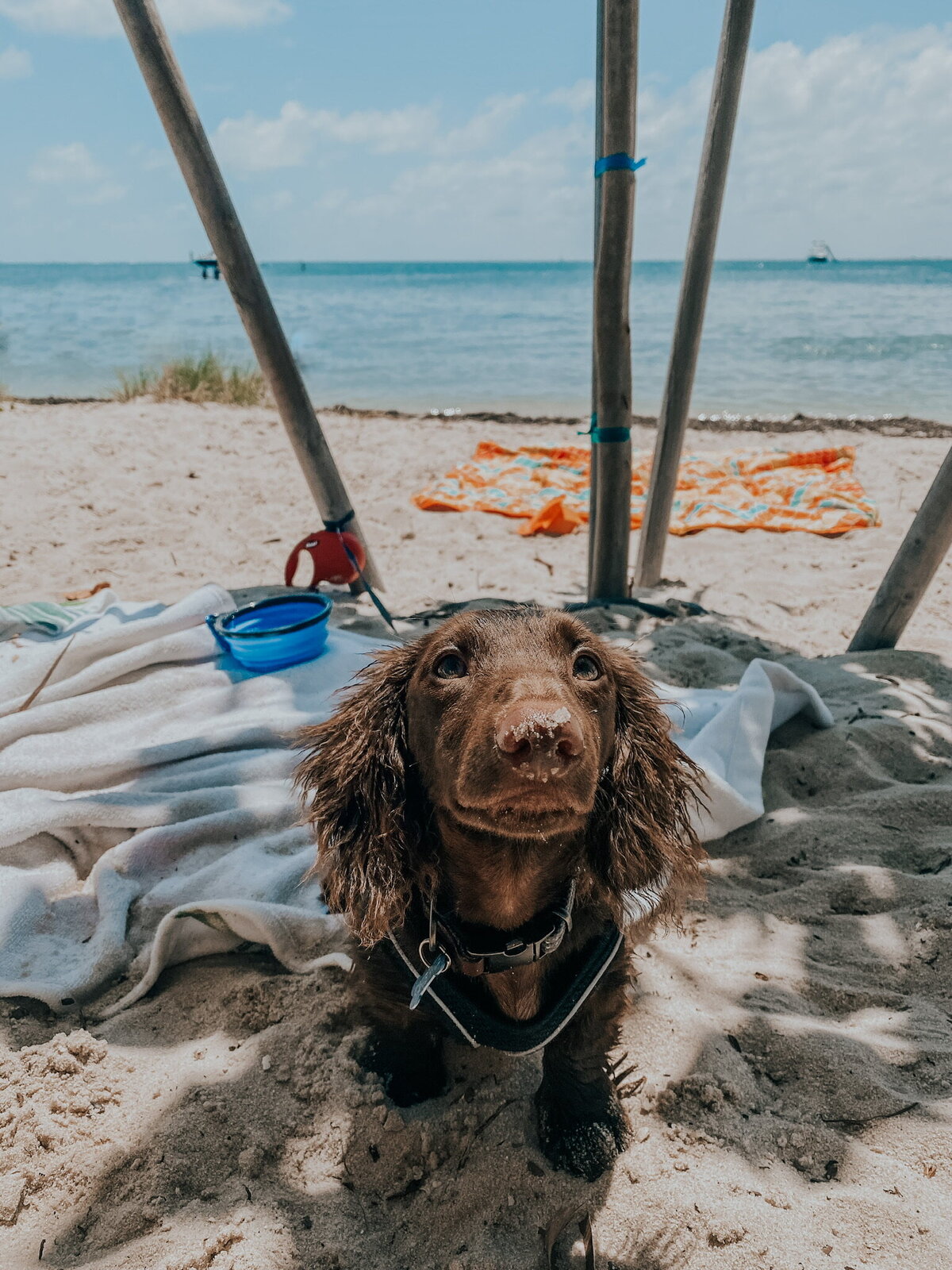 5fe8dbe17cd3bb79a72c326d_E157A860-EB27-4A6A-B6BE-012E0E6E2326