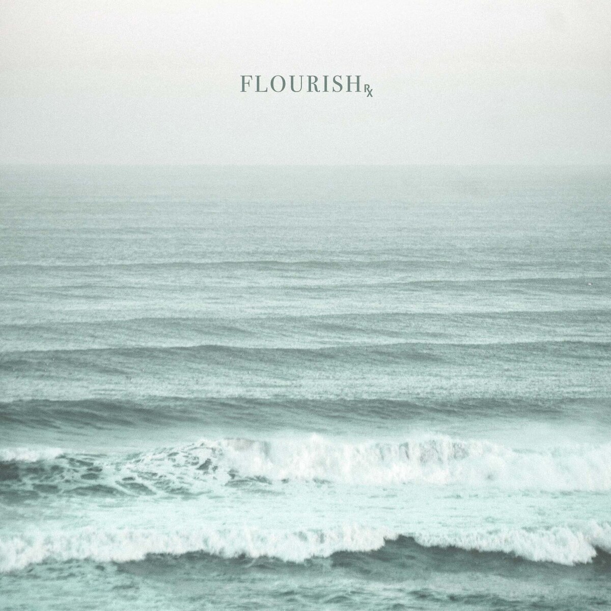 Rose-and-Palm-Studio_Portfolio_Flourish-RX_Graphic-58