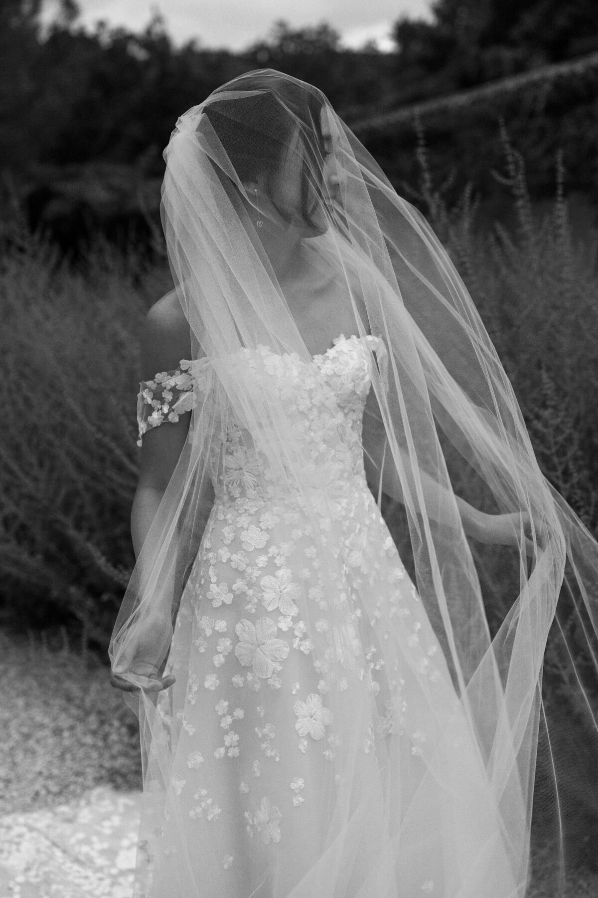 Provence wedding photographer