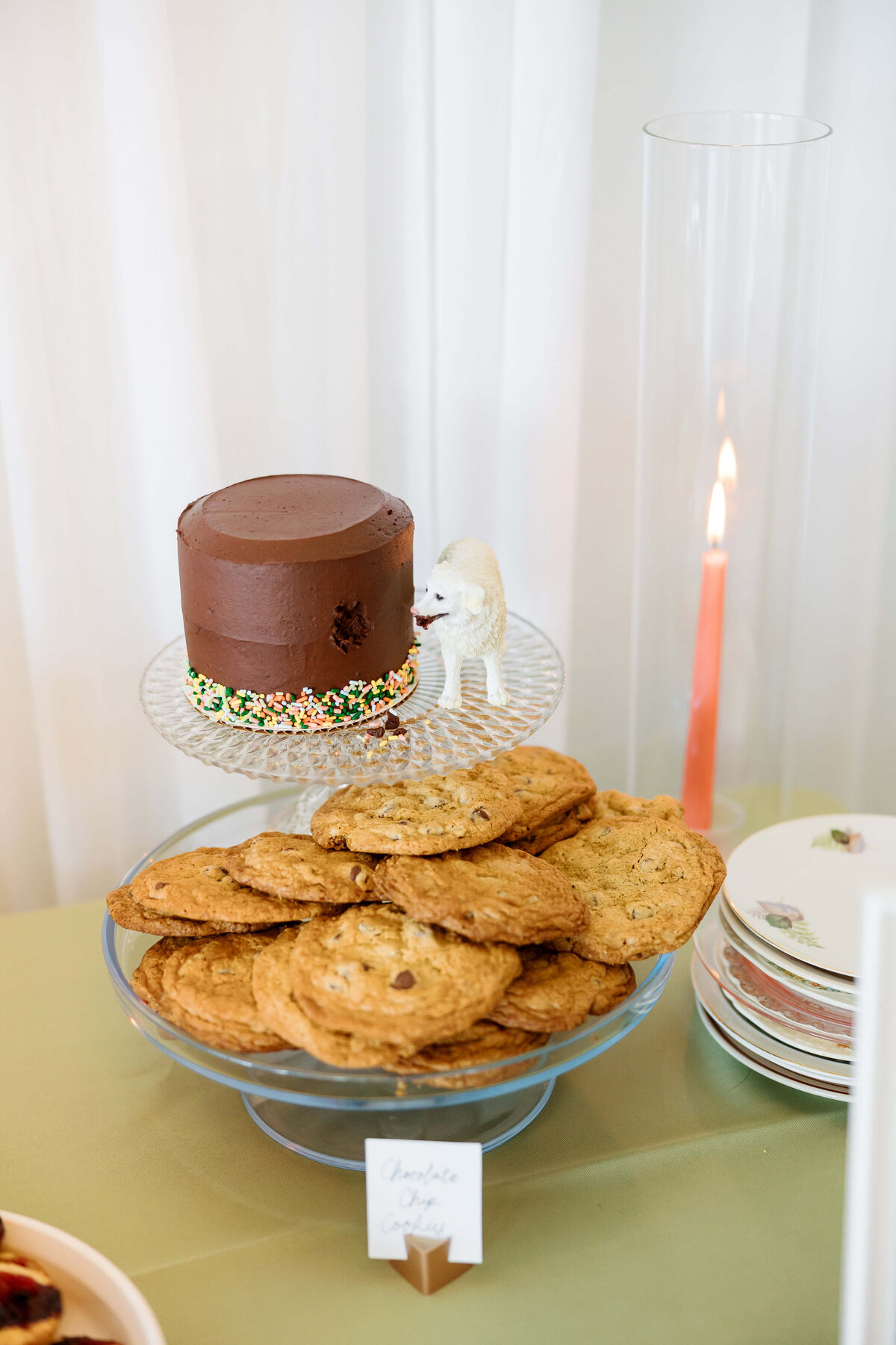 Blue-Ridge-Mountains-Wedding-91