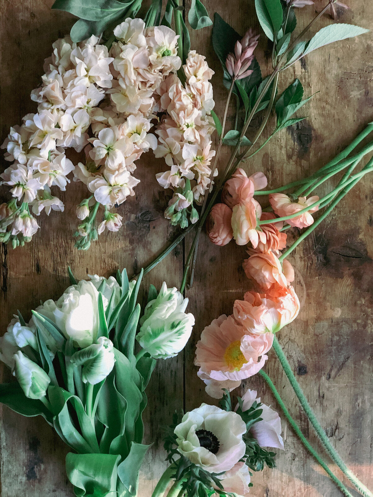 Flat lay of spring flowers
