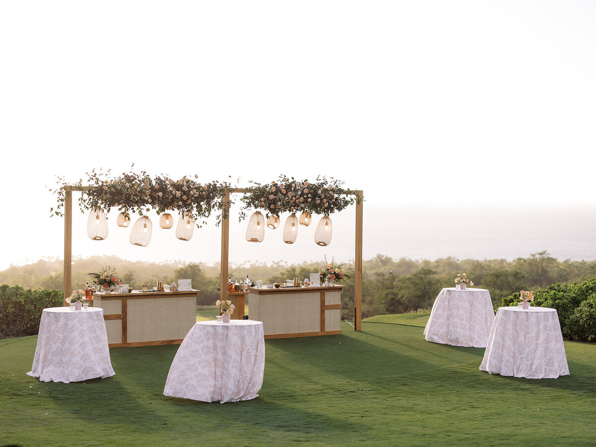 Bre-Jane-Photography-Allie-Alec-Wedding-Maui-Hawaii861