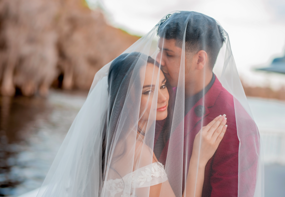 Couple kissing under the veil 