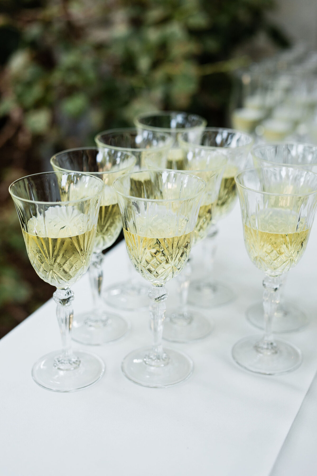 Aaron_Snow_Photography_Edmonds.ASP_0476