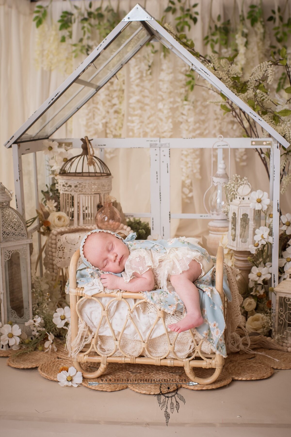 newborn photographer in santa fe texas mini greenhouse studio