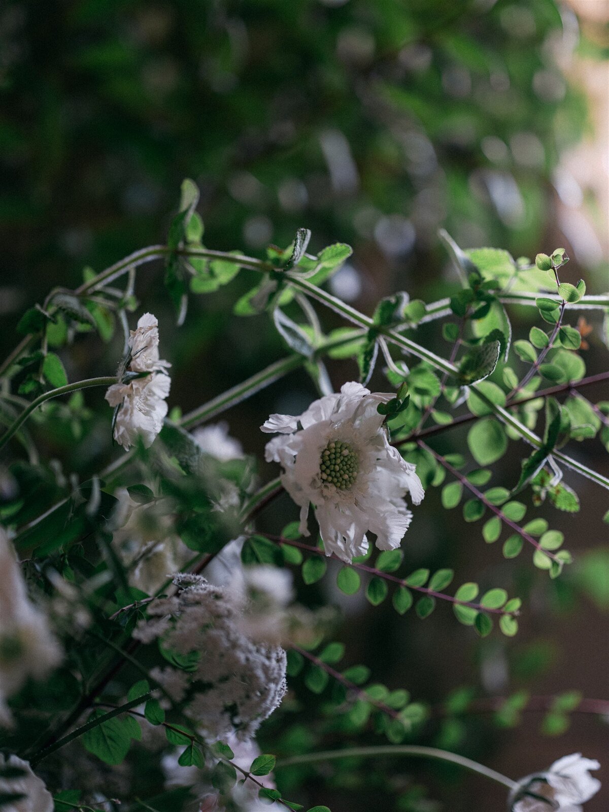 Attabara Studio Luxury Wedding Planner at Belcombe Court by Stories from Eros_0347