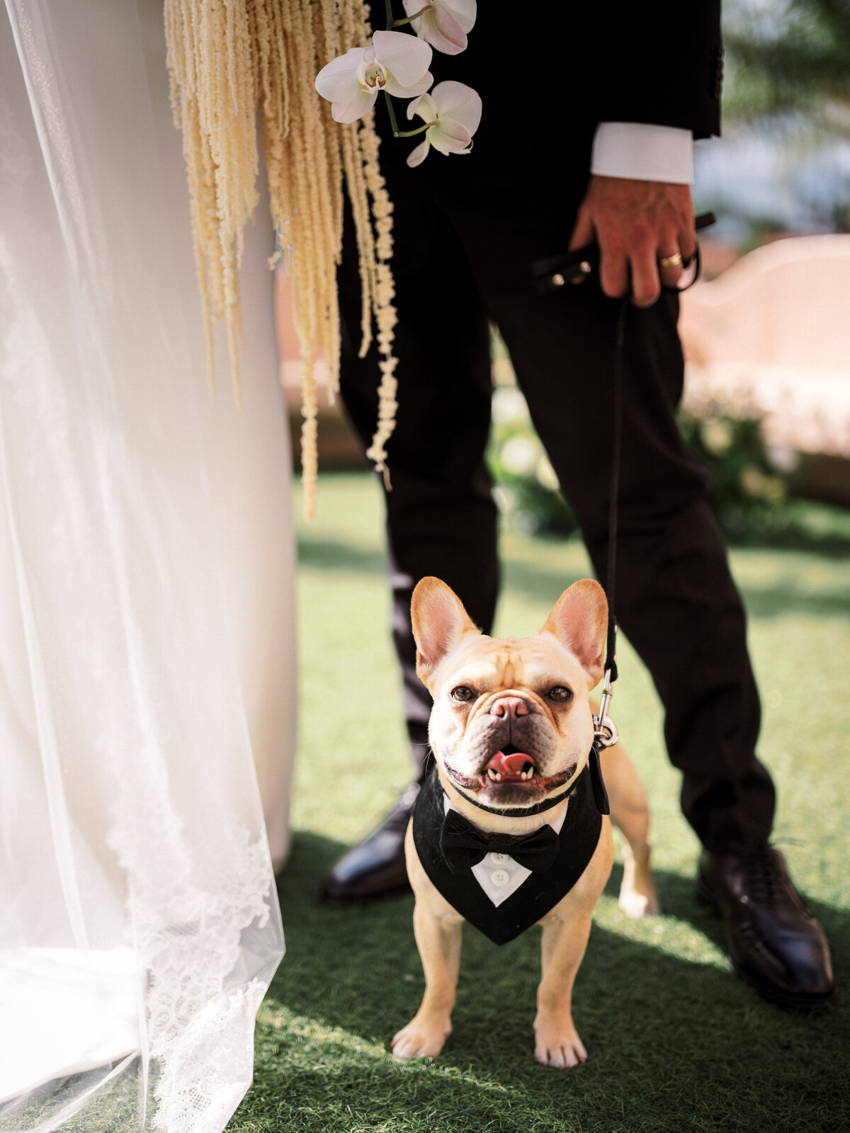 Tom Schelling Photography Portfolio-72