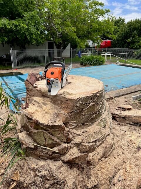 Stump Removals-Evergreen Tree Services SA