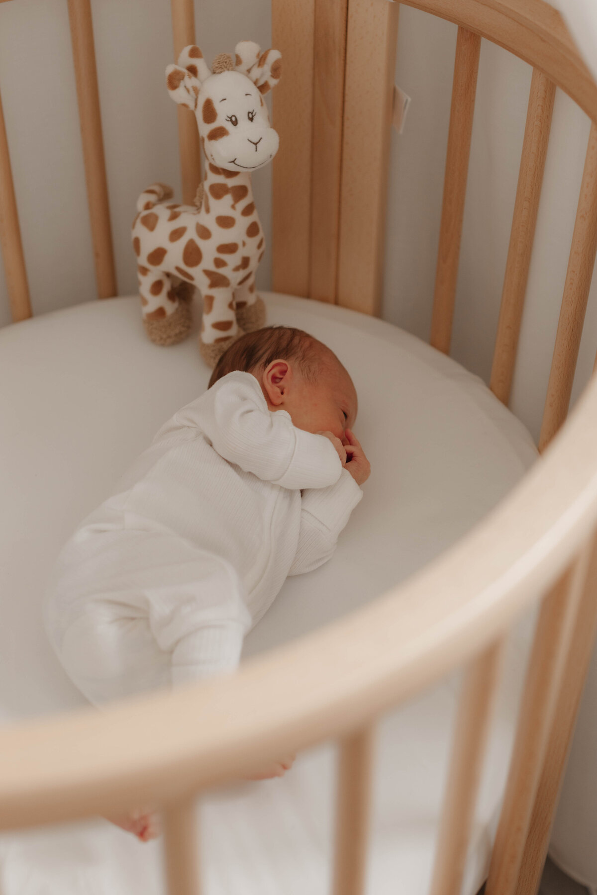 newborn photography cairns