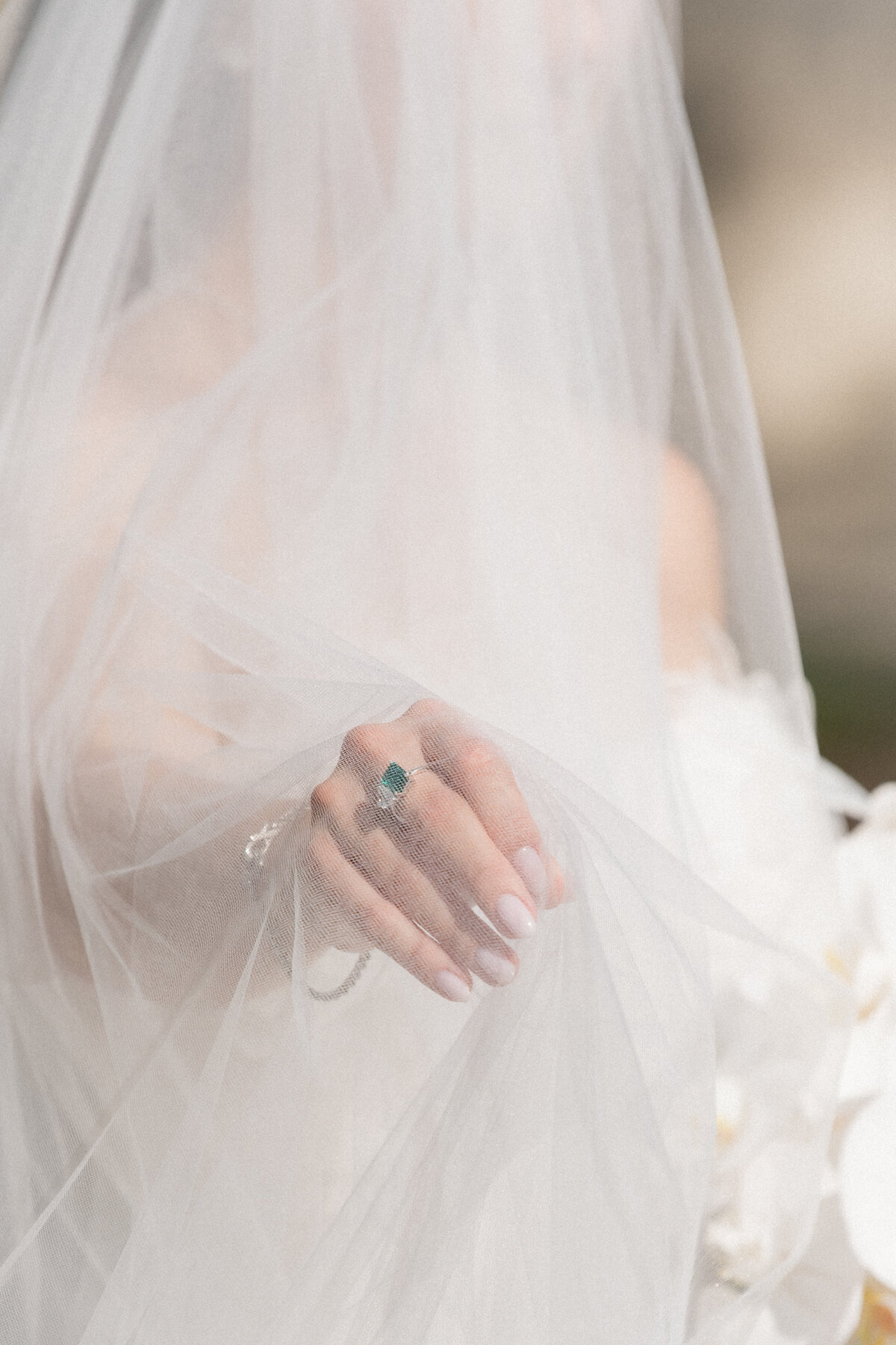 Ed and Aileen Photography Chicago Illinois Digital Film Wedding Engagement Photographers Destination 167 Events5