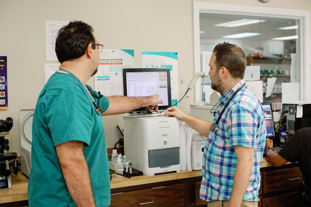 Veterinary Services in Pensacola, FL Navy Boulevard Animal Hospital