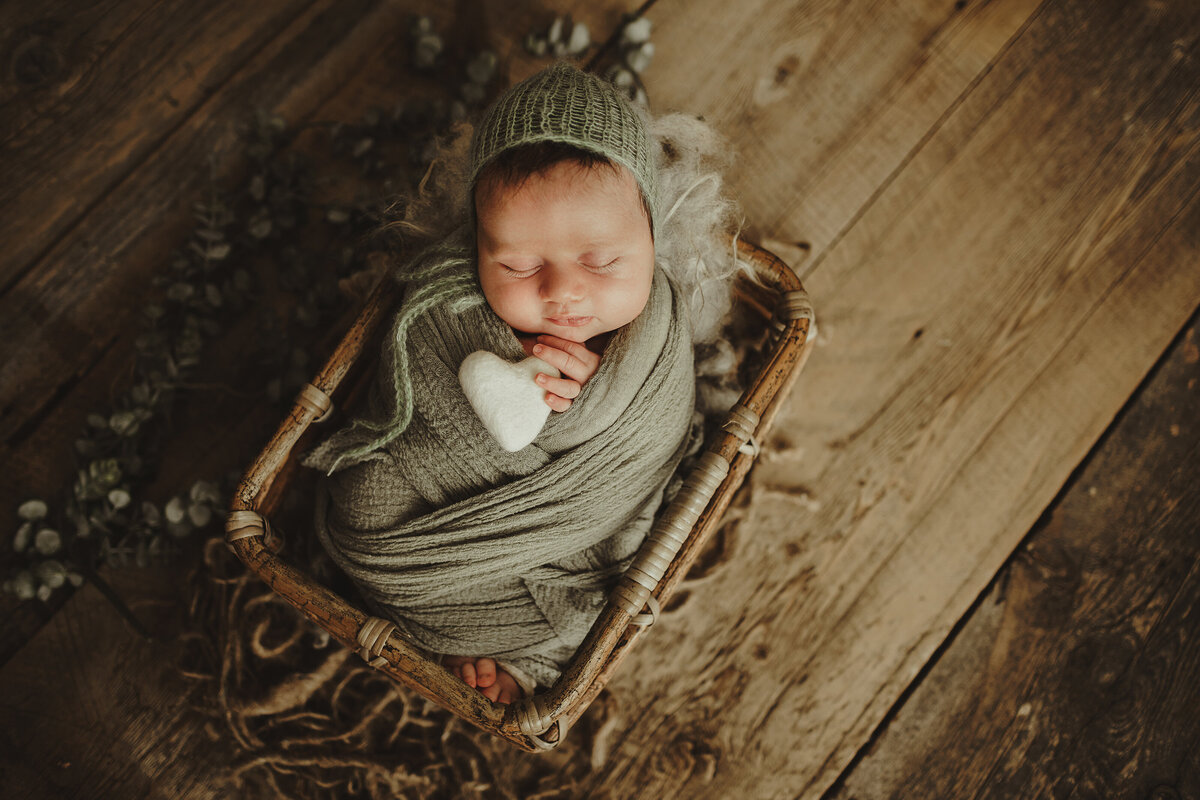 Grey Bruce County Newborn Photographer 01