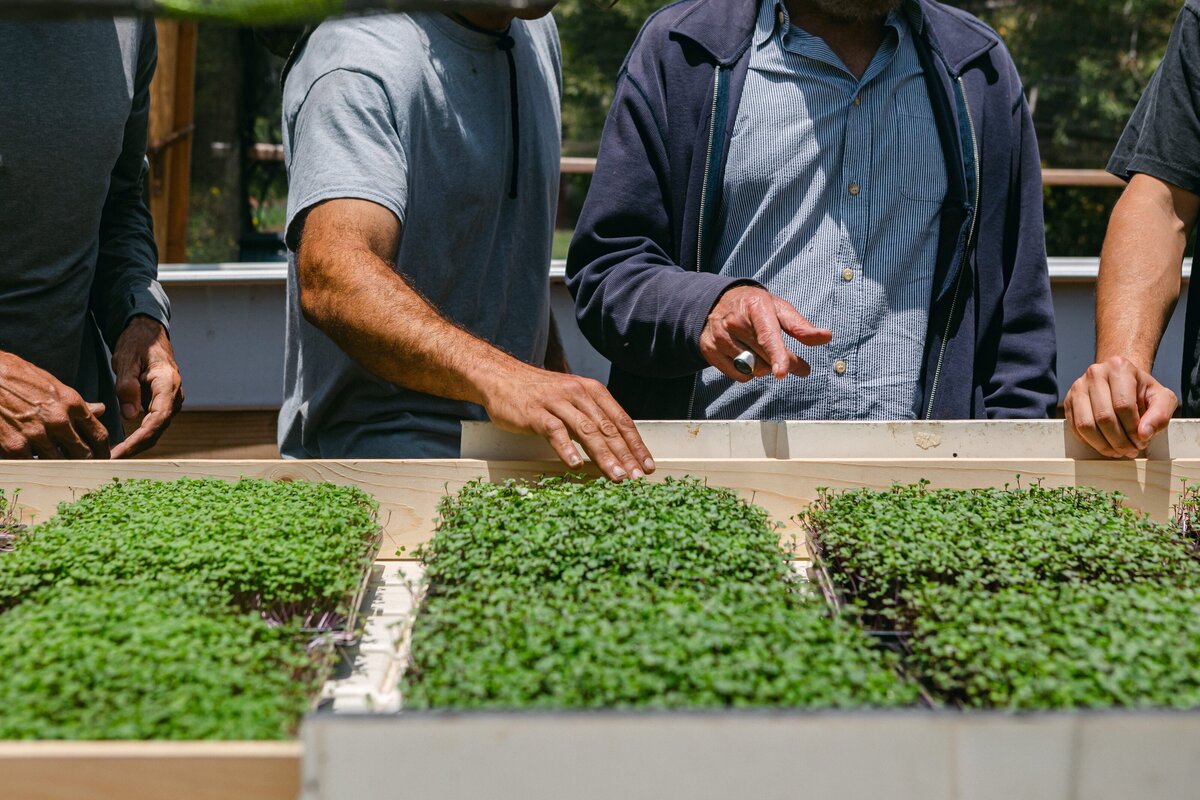 Channel-Islands-Micro-Greens-Local-Farmers-Markets-0009