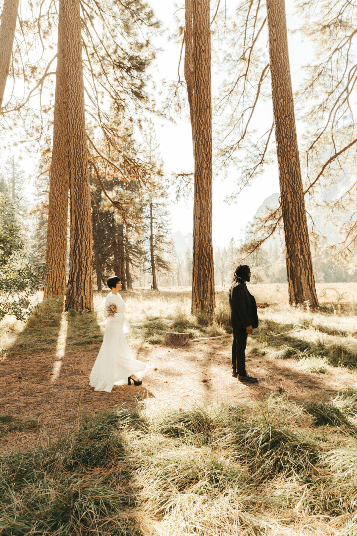 redwoodselopementcouple