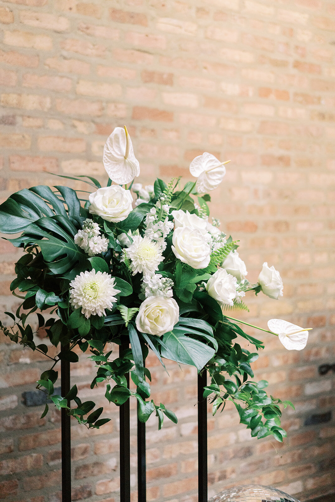 Brittany Bekas - Katie + Gavin's Wedding 2025-319