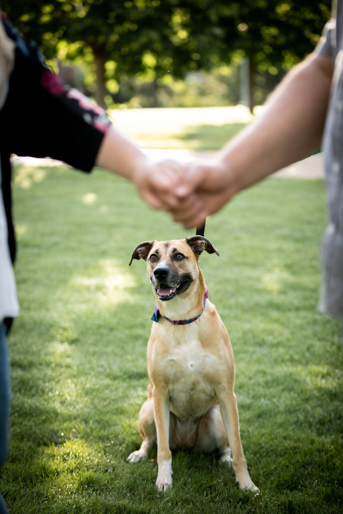 Edmonton-Wedding-Photography-2