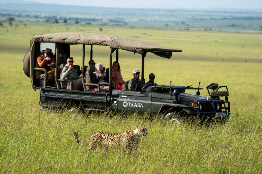 TAASA Lodge - Wildlife & Safari (8)