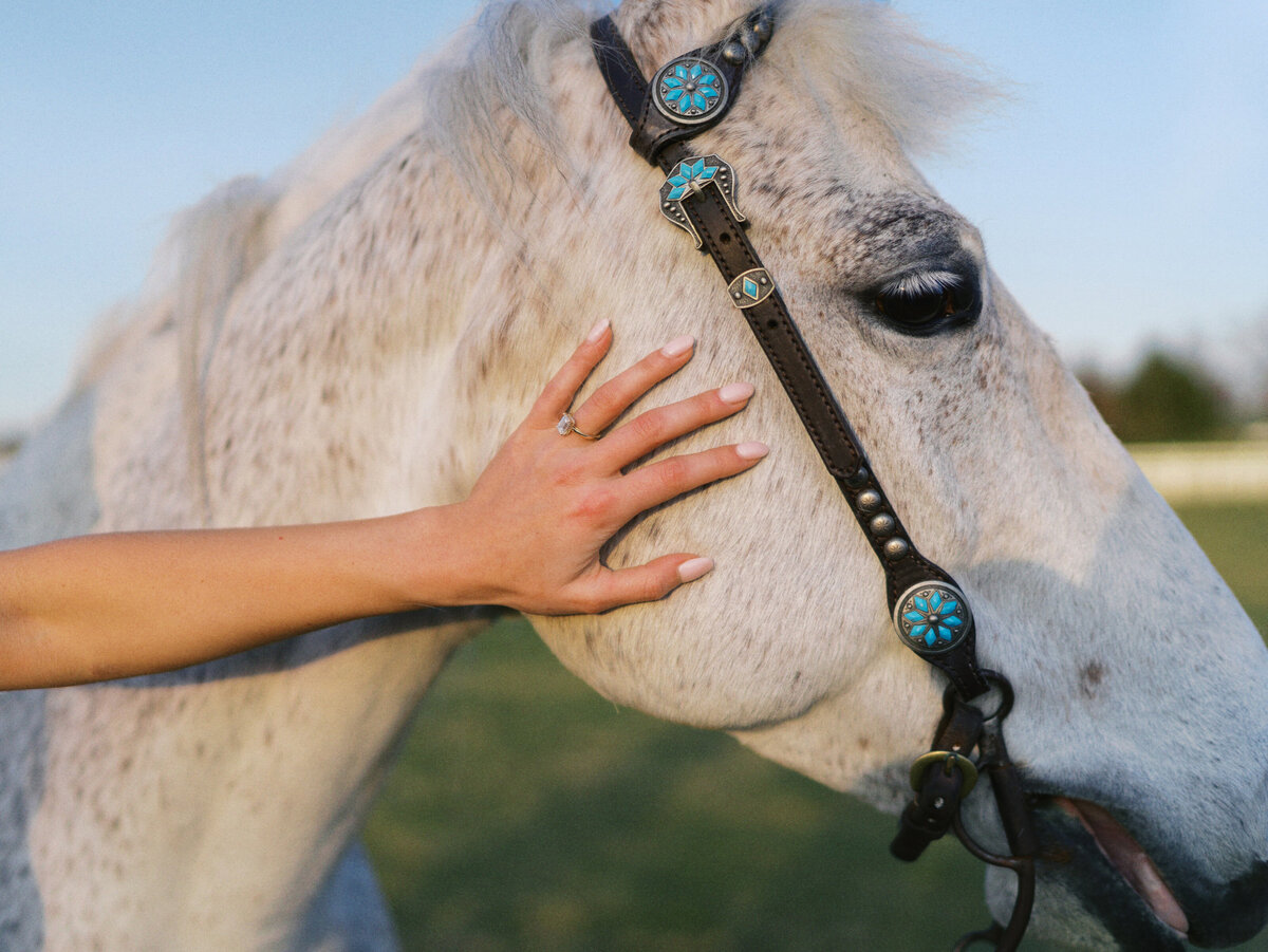 engagement-ring-petting-horse