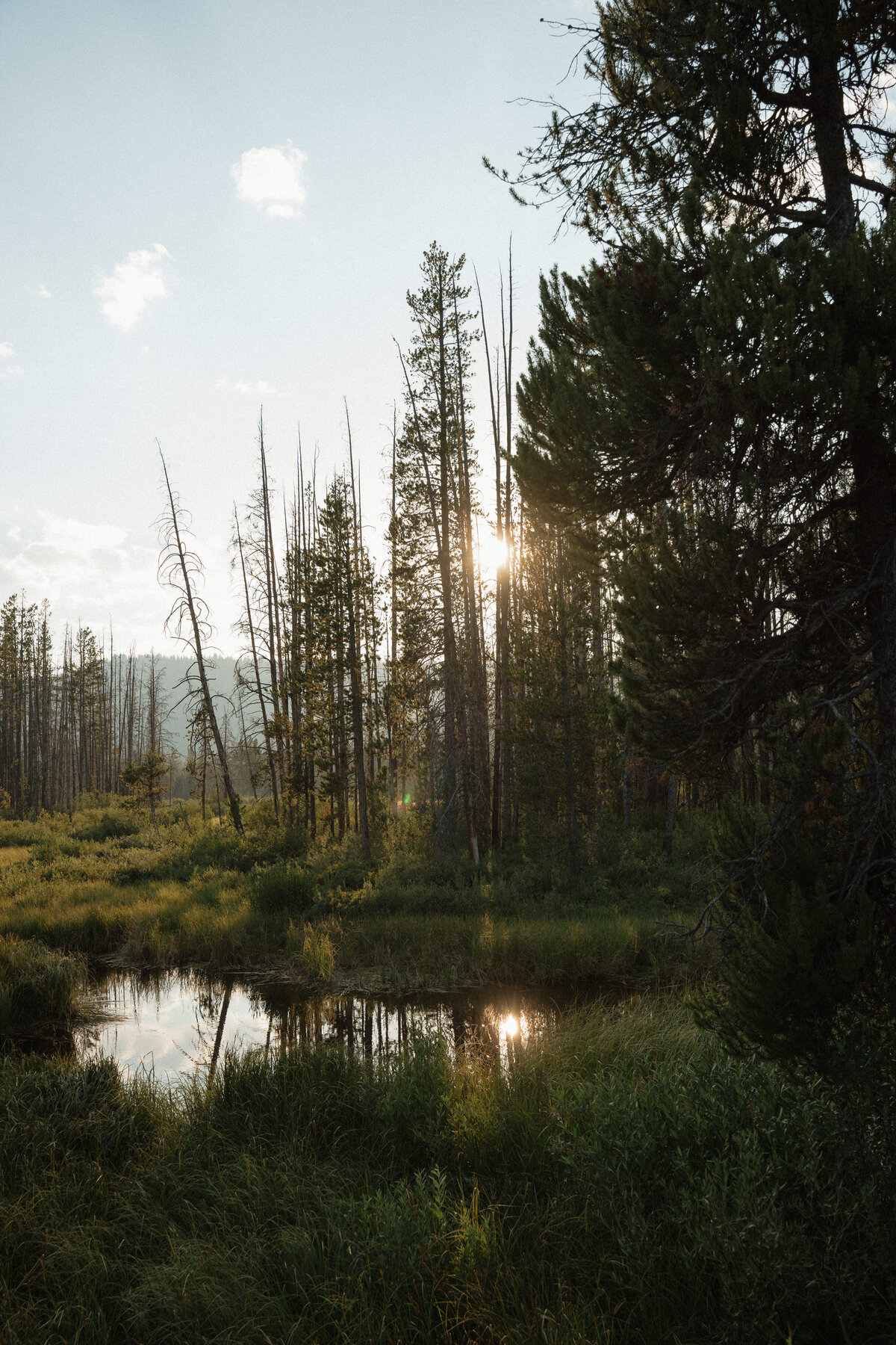 stanely-idaho-engagement-hackwellphotoco-43