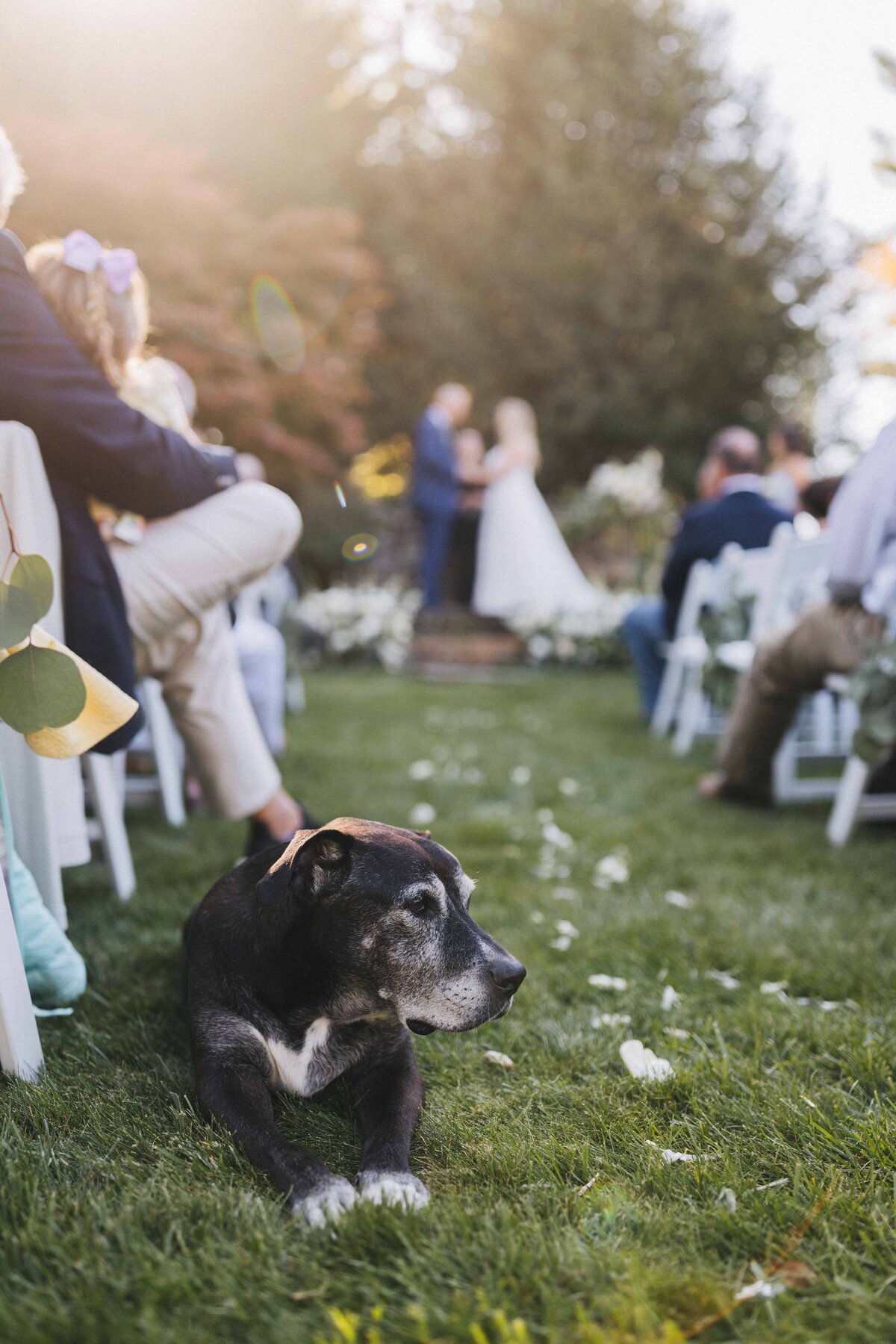 asheville wedding photographer-1-36