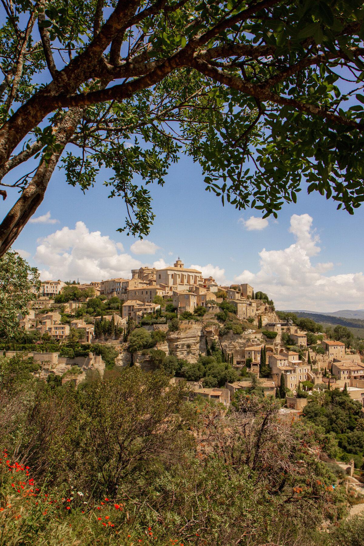 Provence-4