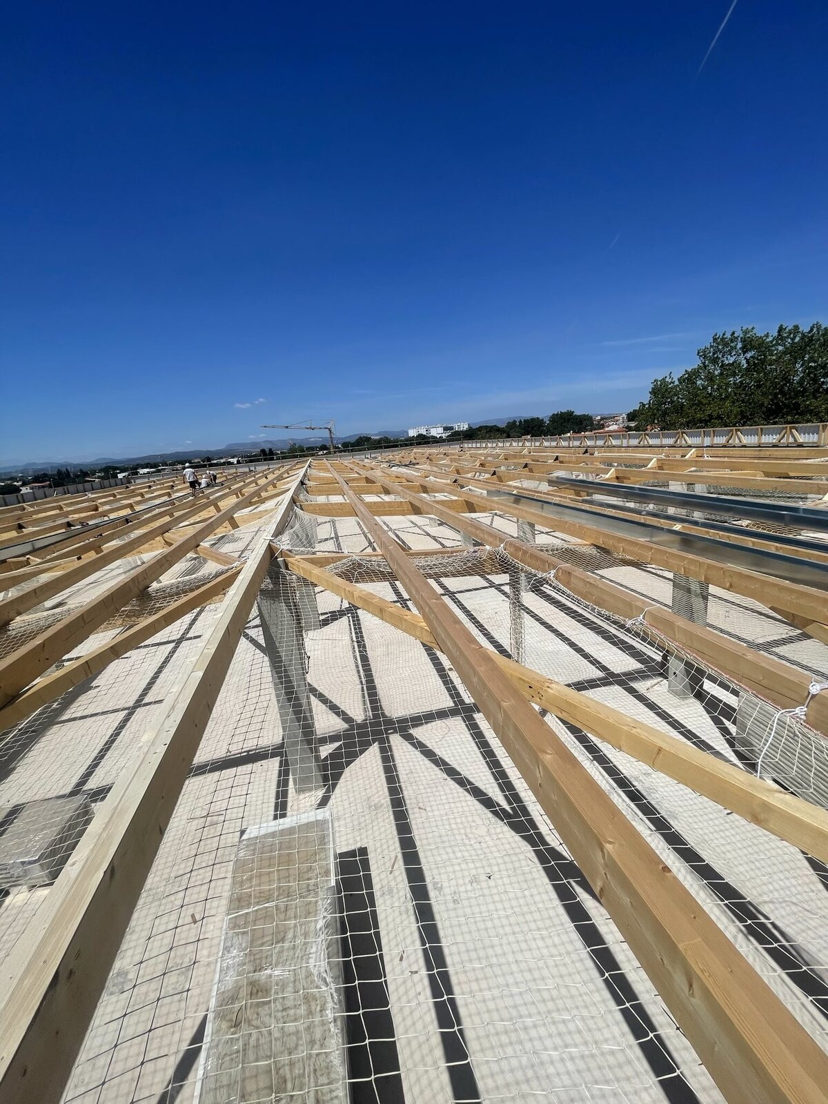 signal-2024-12-11-134715