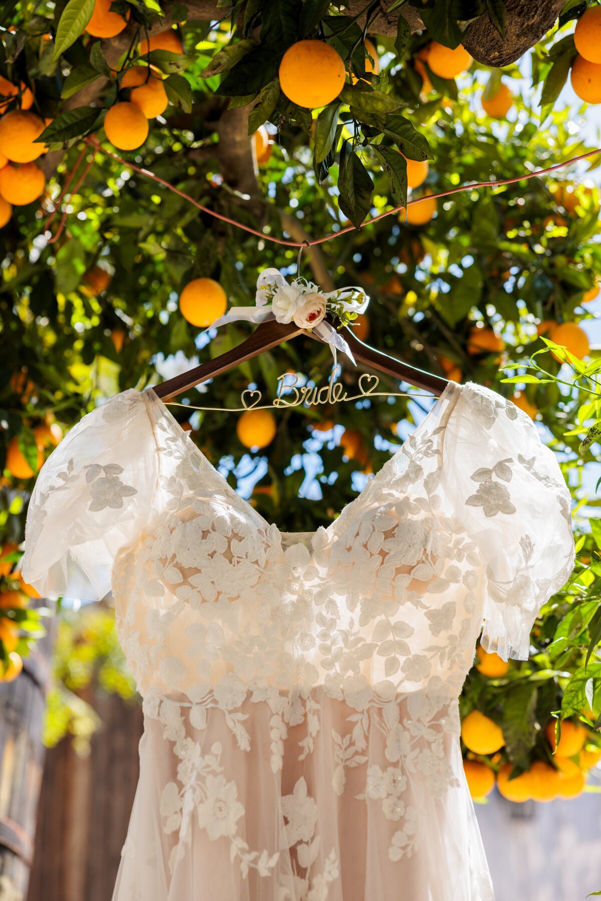 Wedding-20 (1)