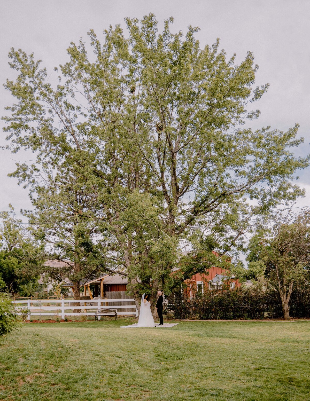 fort-collins-wedding-photographer