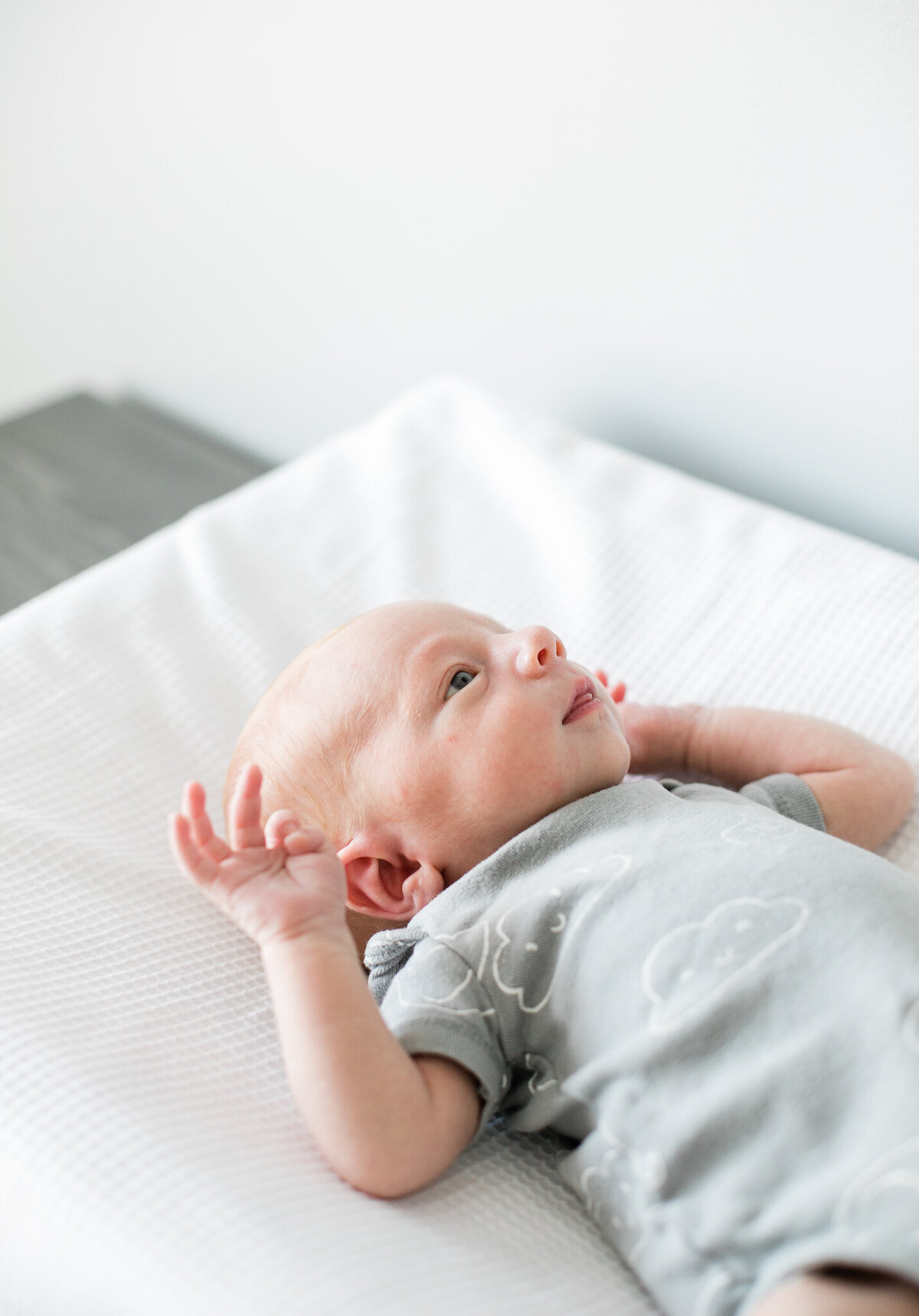 Newborn Session with Baby Boy Portrait Photo