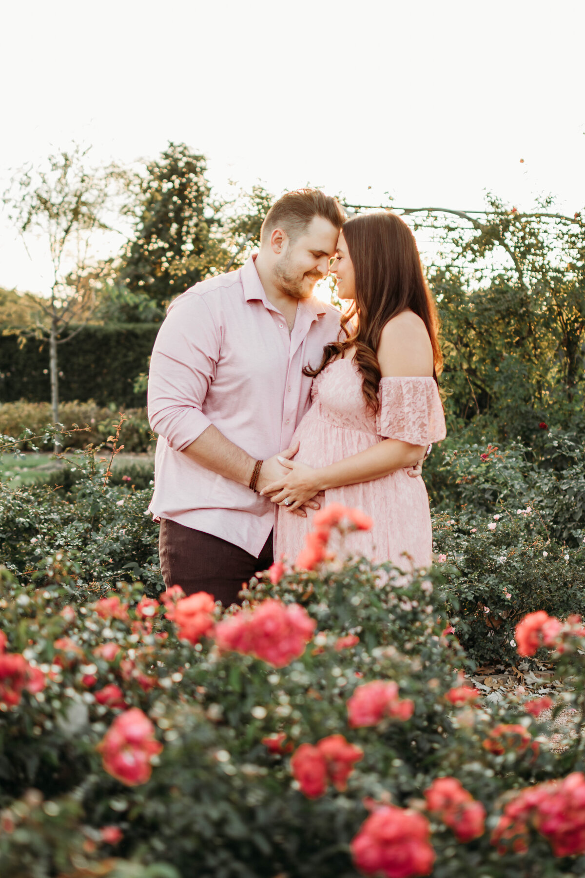 Pregnant mom and dad to be glowing in a field of roses during sunset in a field of flowers at Cantigny Park, Wheaton, IL