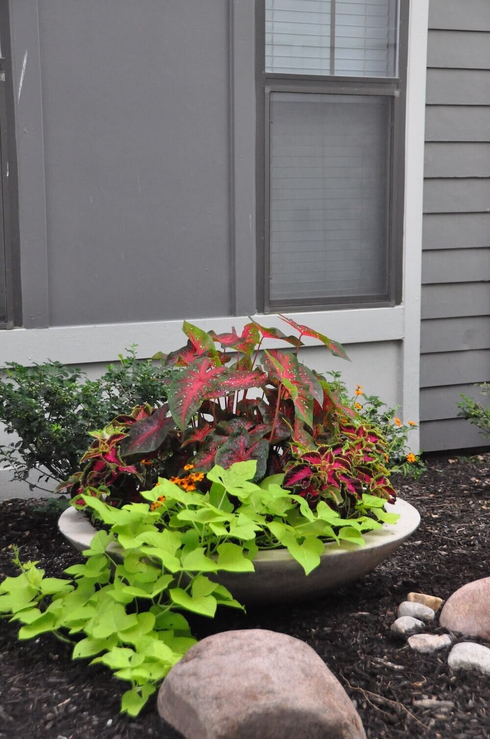 Commercial landscape company project in Kansas City: seasonal flowers showcase