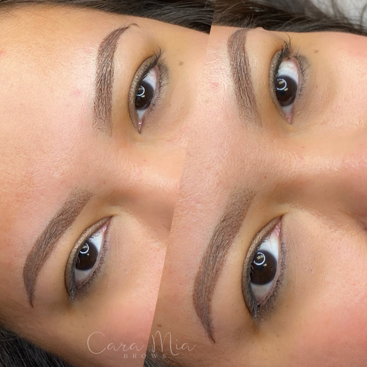 Ombre Powder Brows before and after