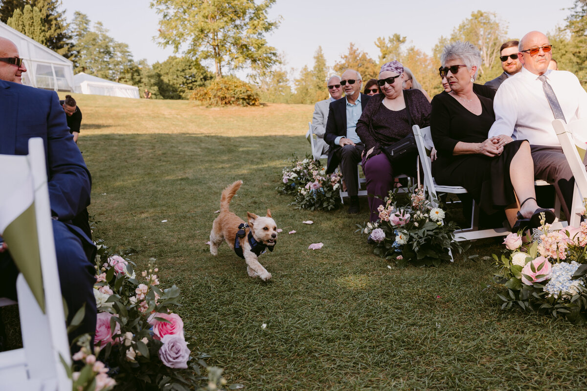 Tammy+Adam_Previews_DanicaOlivaPhotos_135
