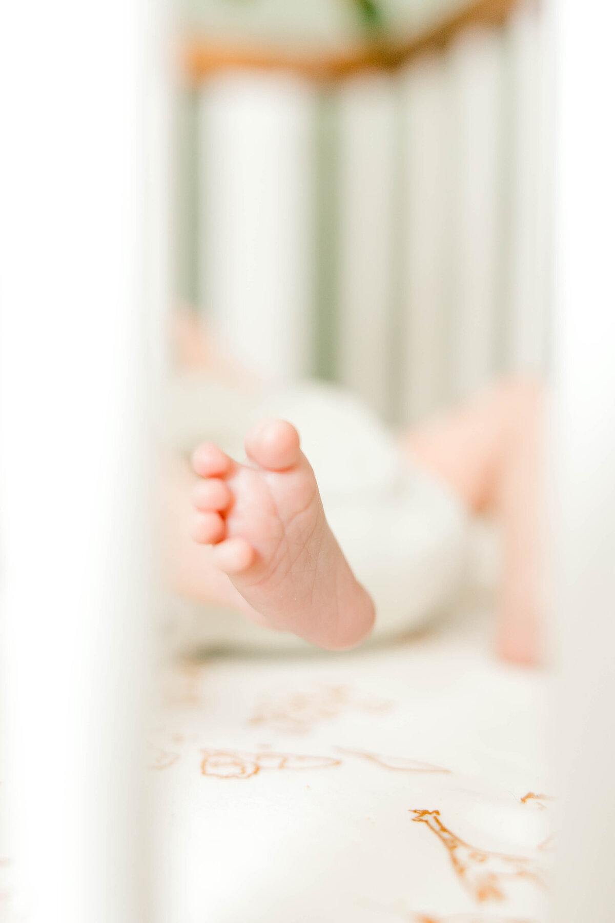 Powell Newborn-48