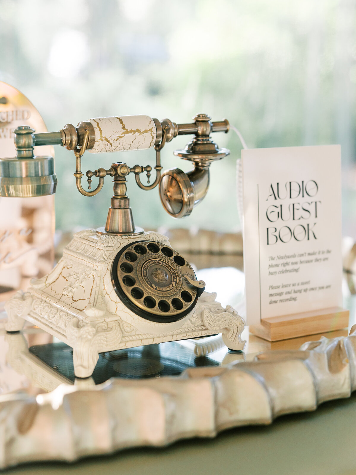 pittsburgh-wedding-photographer-phipps-botanic-gardens-conservatory-wedding-outdoor-lgbtq-luxury-photography-light-and-airy78