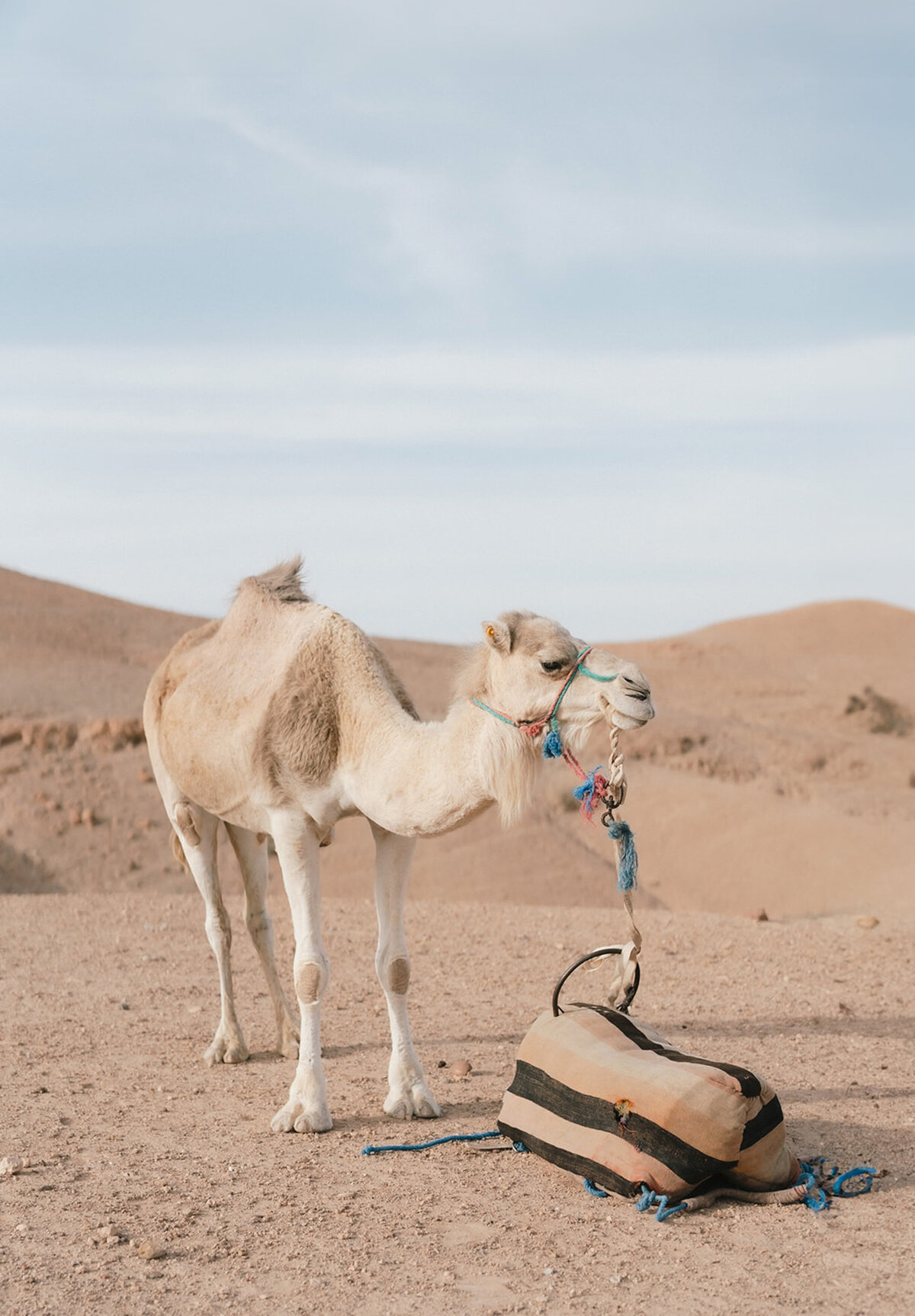 Morocco Desert Wedding-Leah Black--12