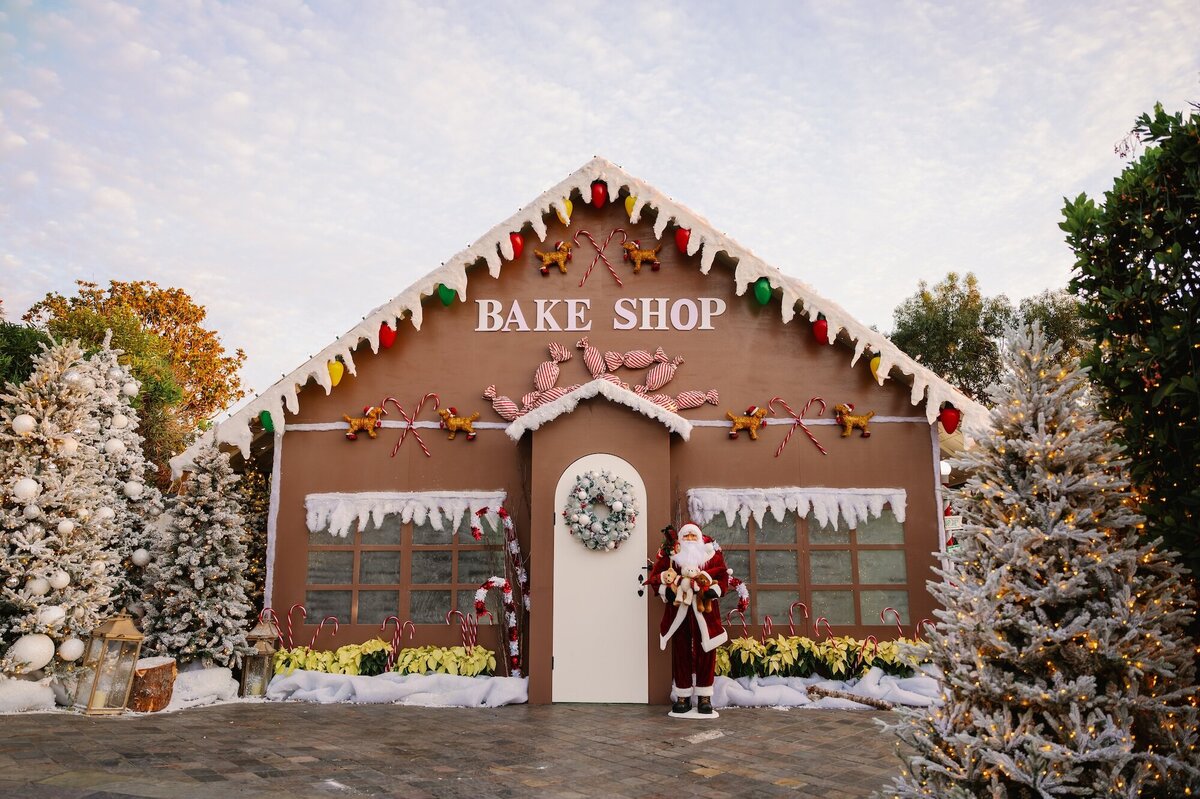 AceXmasDecor(5of26)