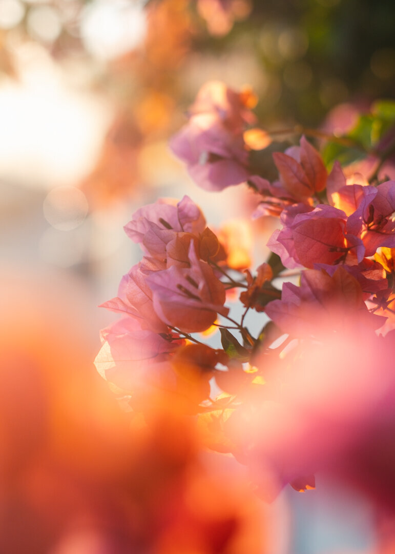 File_003(2)