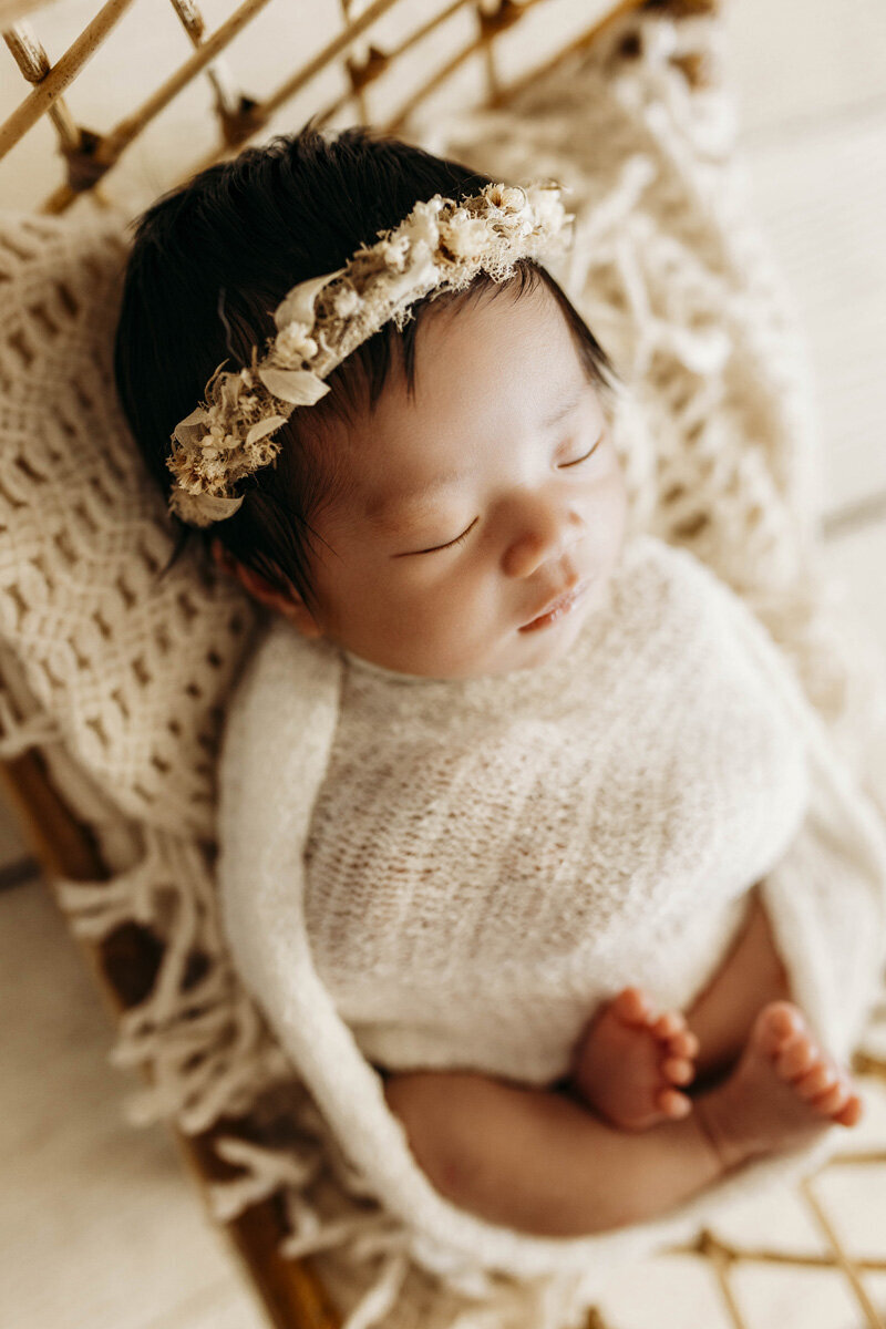 Finals Baby Alexis    -  studio newborn  sessions--13 copy