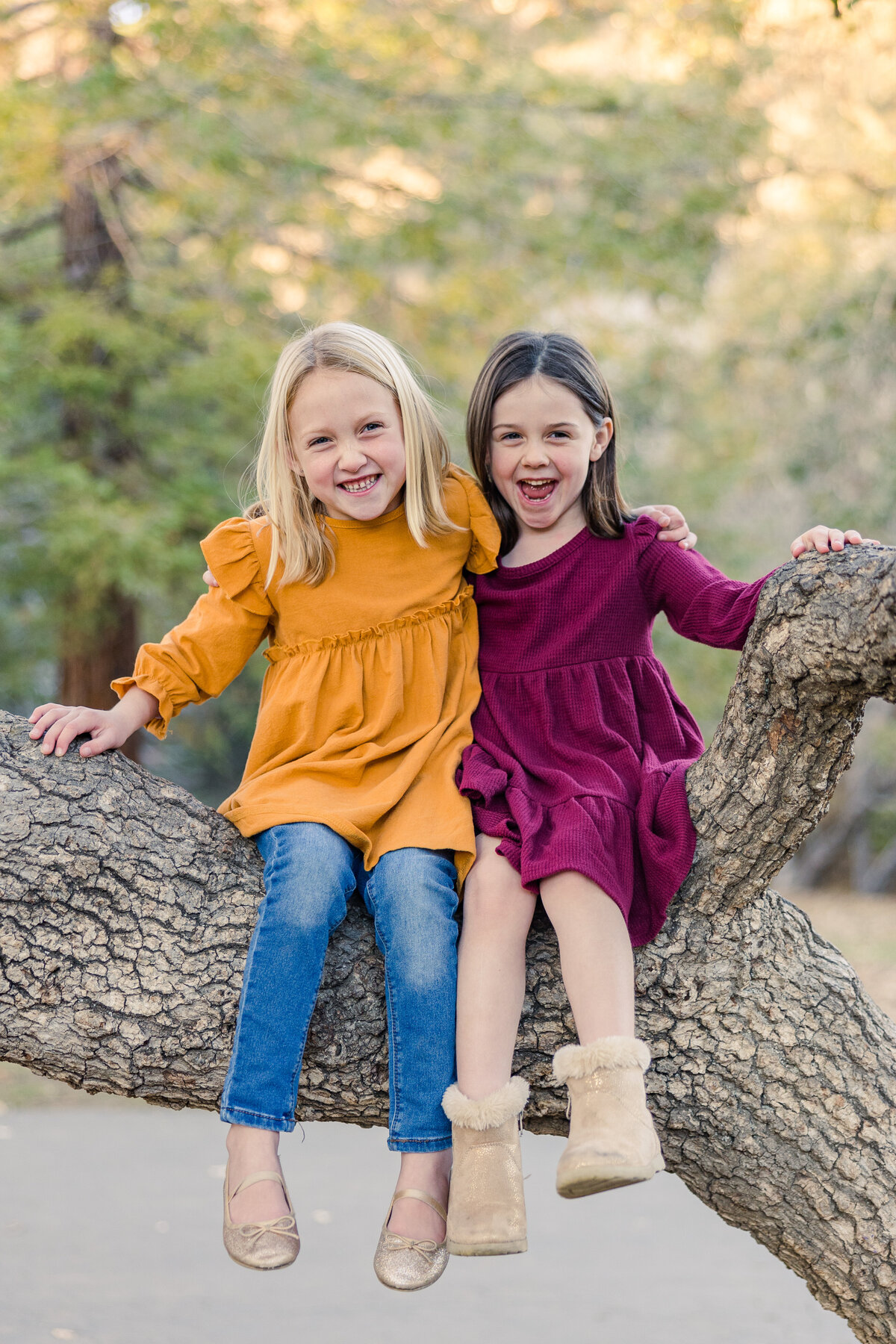 Abts Family - Hailey June Photography-17