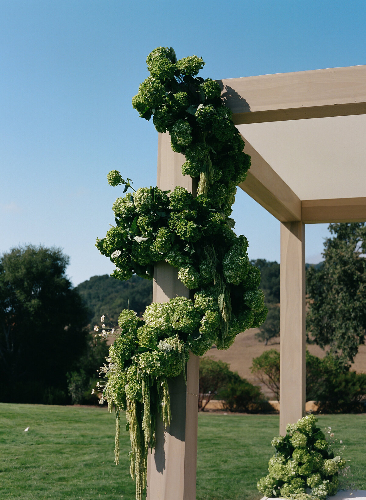 DT-2025-Kelcie&StevenPreview-135