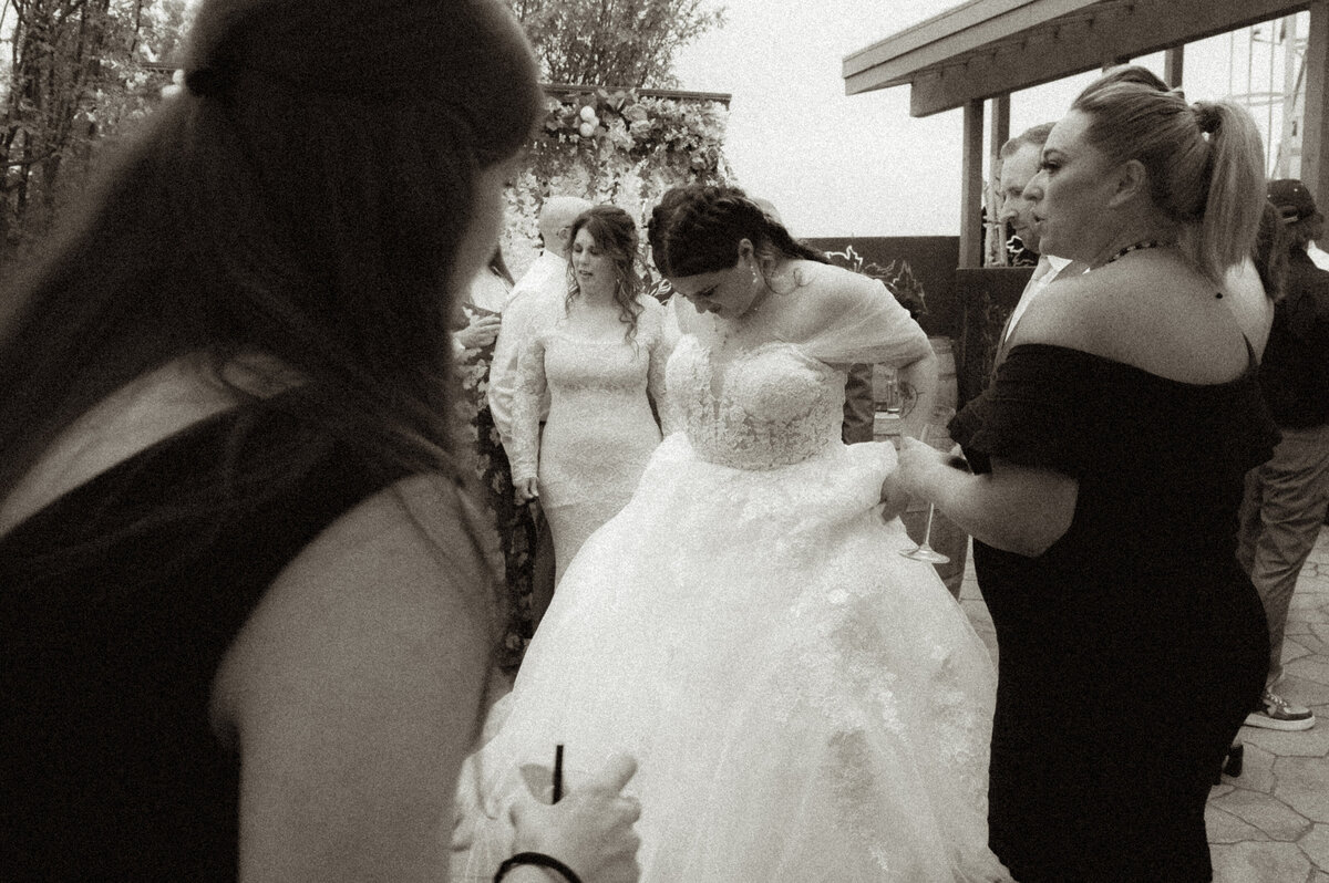 Bella and Alex Wedding - June 21st, 2024-1173