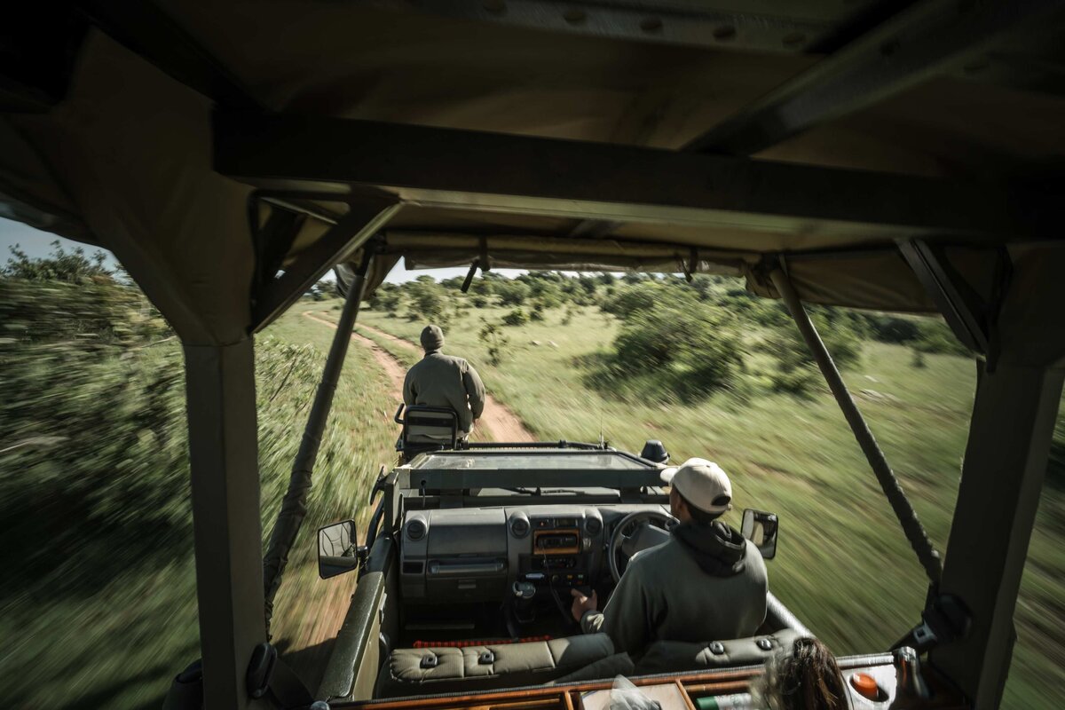 TAASA Safari Wildlife (17)