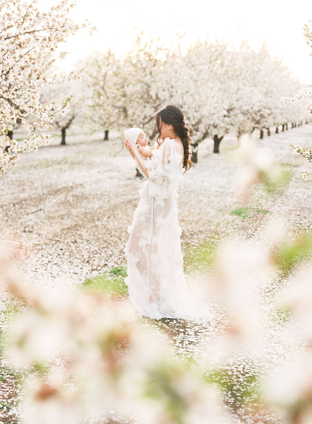 Bay Area Family Photographer5006