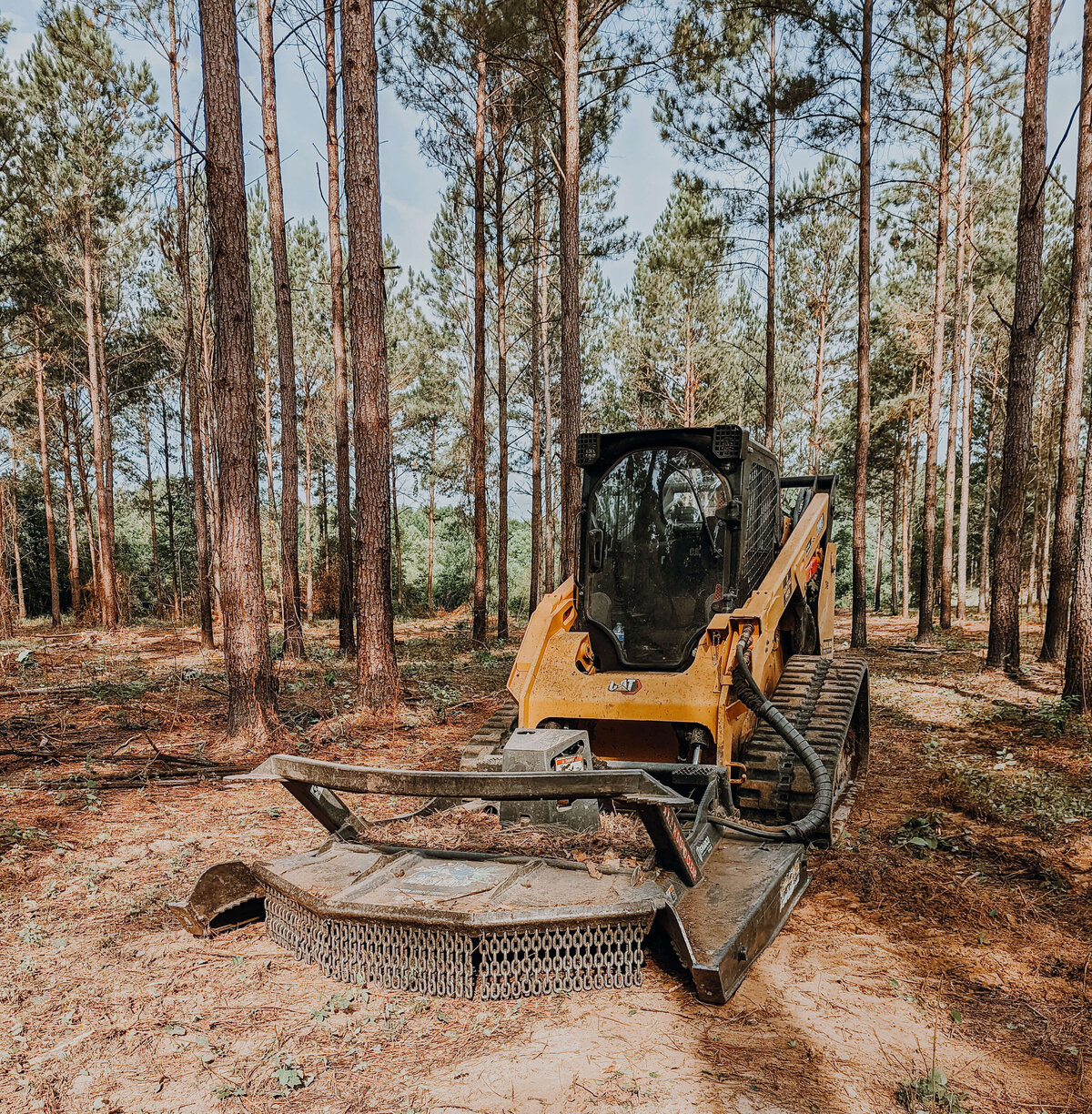 heavy-machinery-in-wooded-area-with-tall-trees