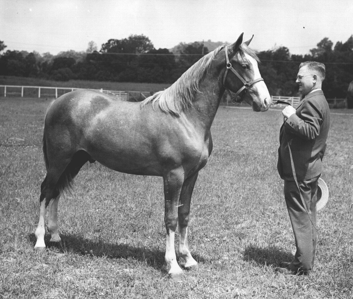 32. Alex with Horse