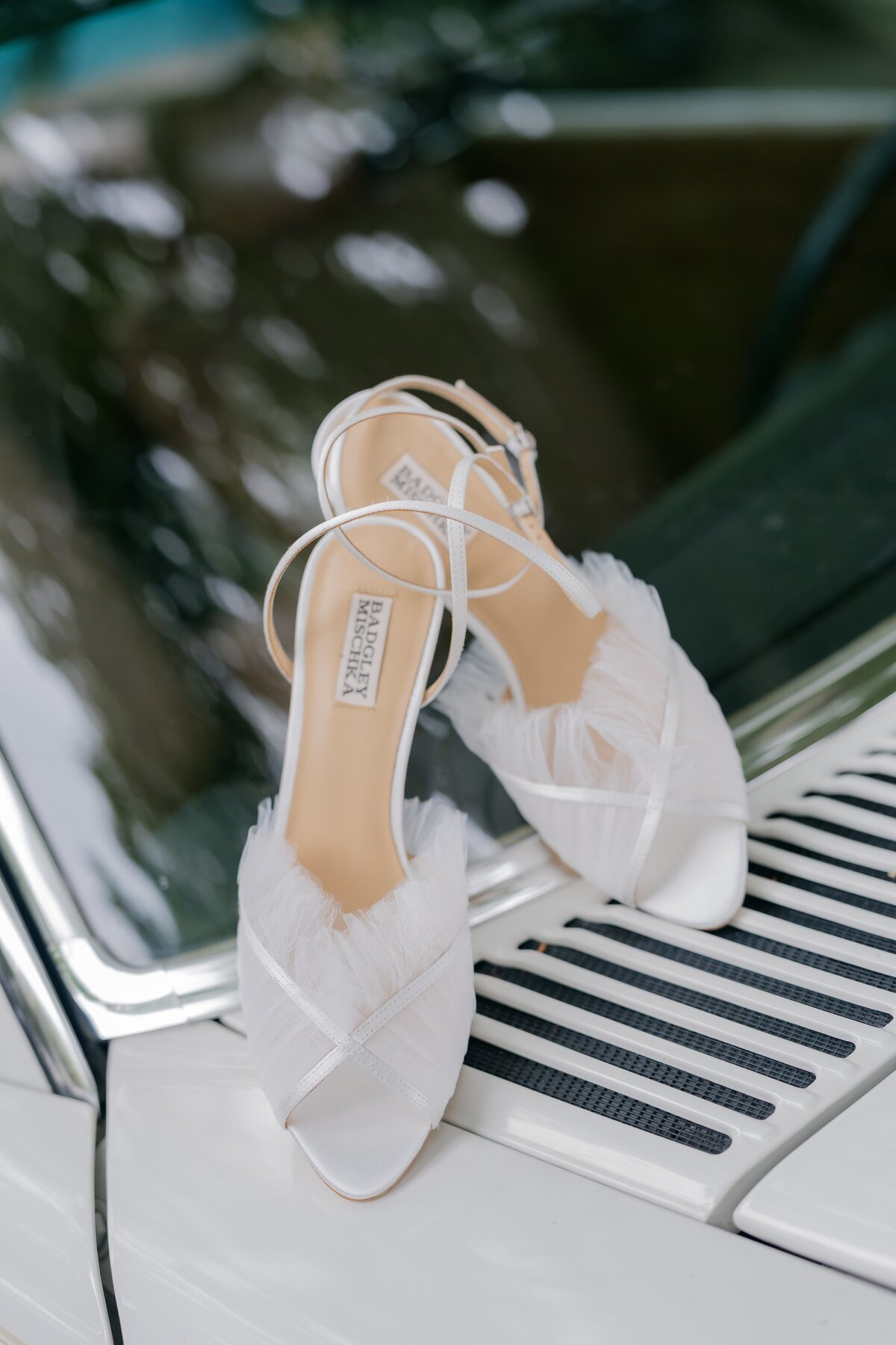 BrookeBrandonsp-mylaliphotos-111