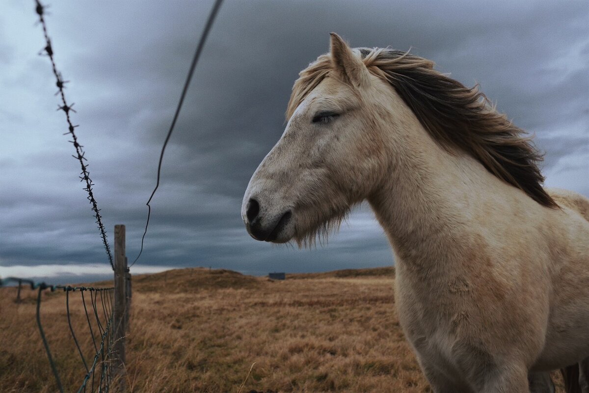 documentary-wedding-photographer-iceland