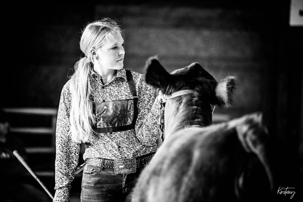 girl showing heifer